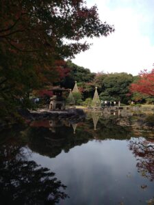 Giardino Furukawa Autunno