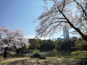 giardino koishikawa korakuen