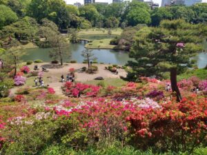 giardino rikugien azalee