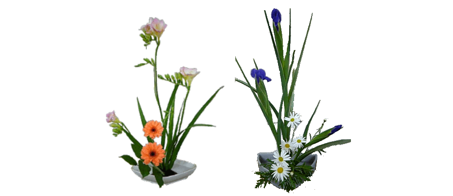 ikebana-arte-giapponese ikebana-arte-giapponese